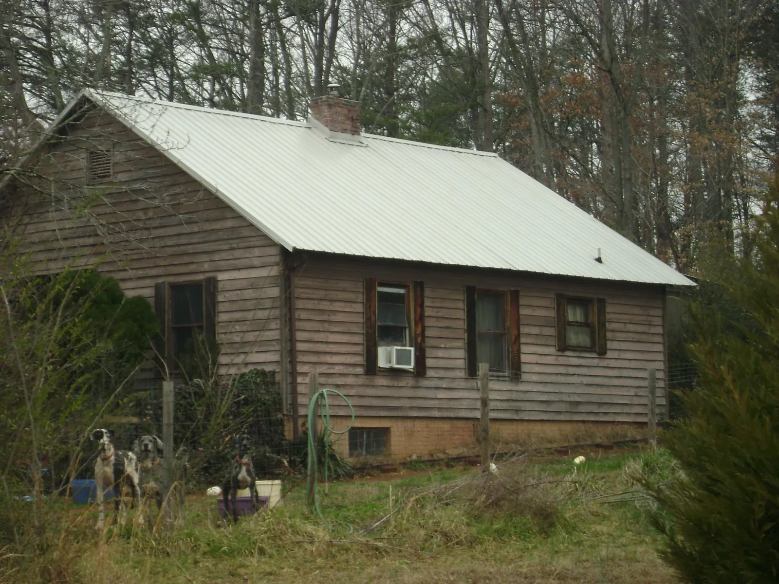 White metal roof on an old wood sided farmhouse, from a Metal Roof Installation job in Galt